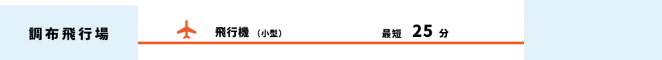 調布飛行場から大島へ、飛行機（小型）で最短25分。