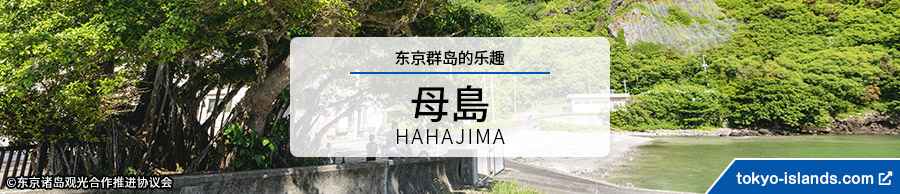 母島の観光情報 | 東京アイランドドットコムへ