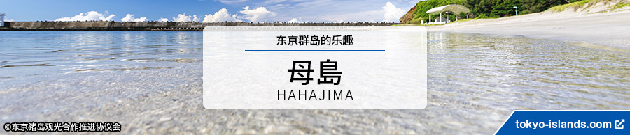 母島の観光情報 | 東京アイランドドットコムへ