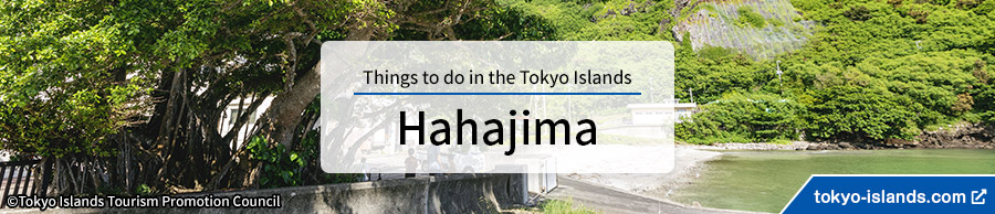 母島の観光情報 | 東京アイランドドットコムへ