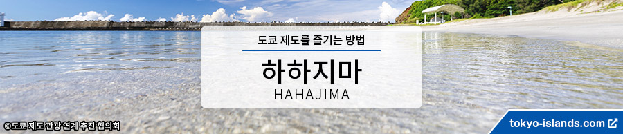 母島の観光情報 | 東京アイランドドットコムへ