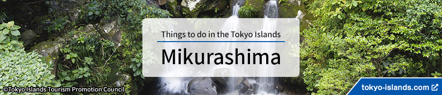 御蔵島の観光情報 | 東京アイランドドットコムへ