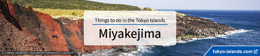 三宅島の観光情報 | 東京アイランドドットコムへ