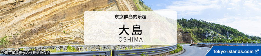 大島の観光情報 | 東京アイランドドットコムへ