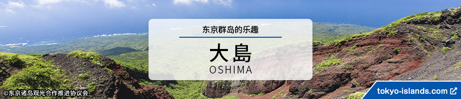 大島の観光情報 | 東京アイランドドットコムへ