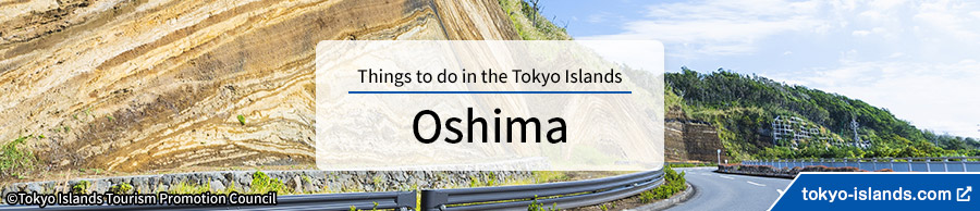 大島の観光情報 | 東京アイランドドットコムへ