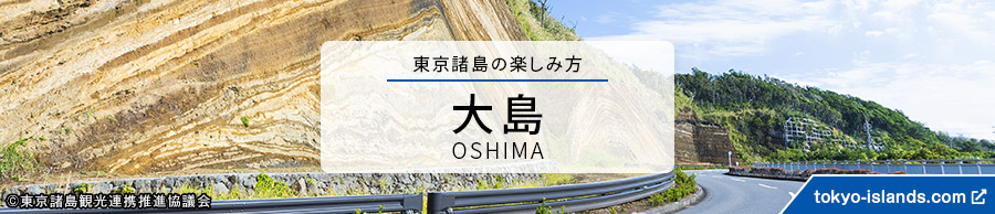 大島の観光情報 | 東京アイランドドットコムへ