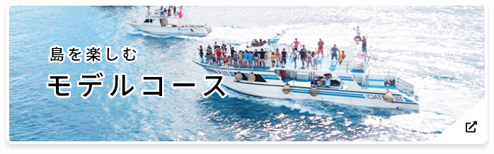 アイランドホッピング ひとつの旅でいくつもの島を巡る