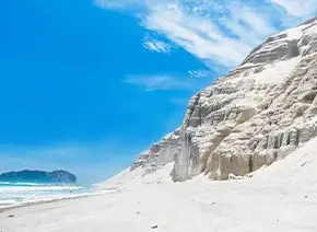 니지마