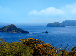 Toshima